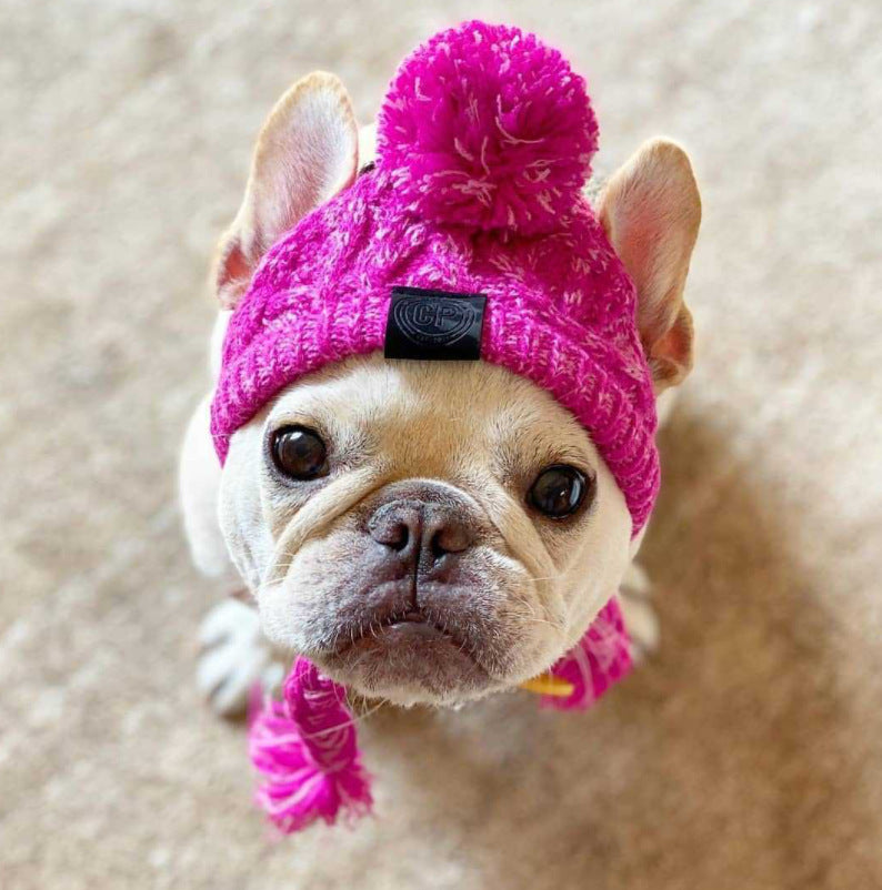 Cozy Companion Hat™