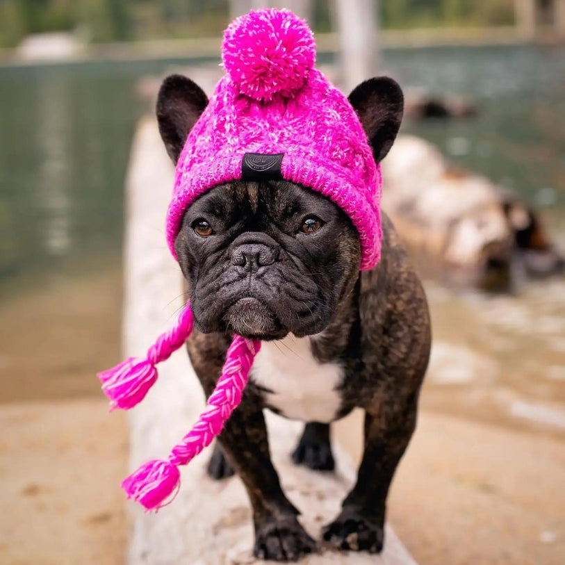 Cozy Companion Hat™