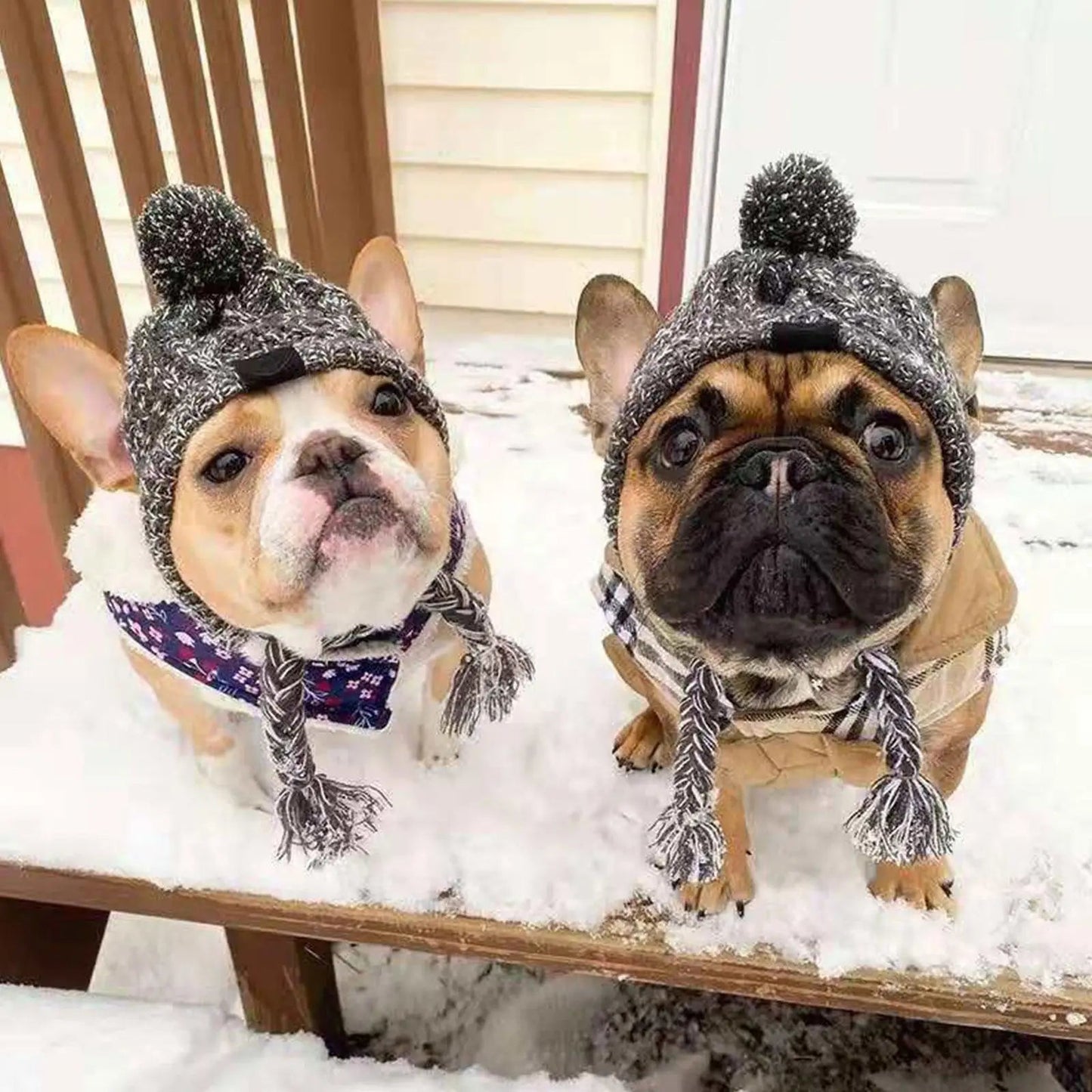 Cozy Companion Hat™