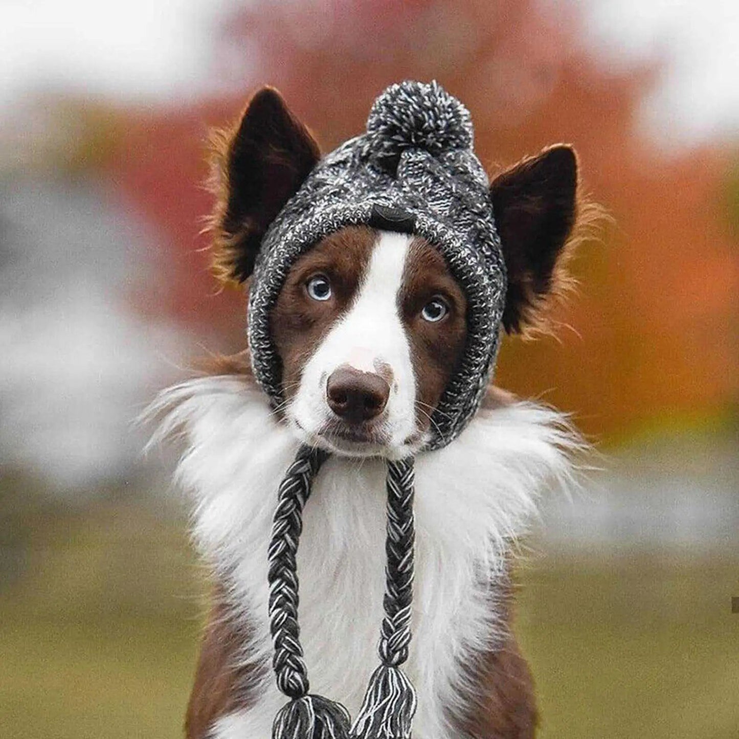 Cozy Companion Hat™