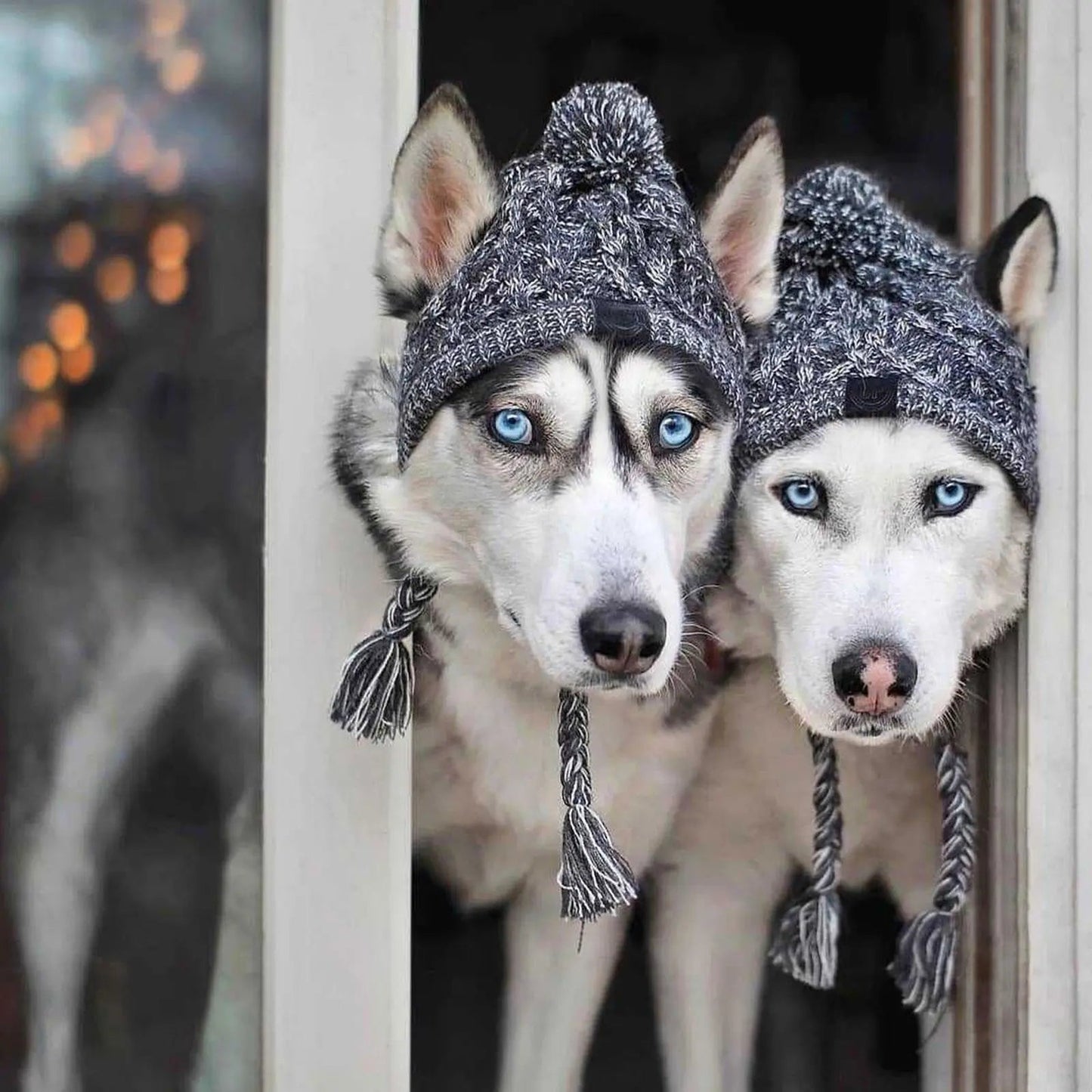 Cozy Companion Hat™