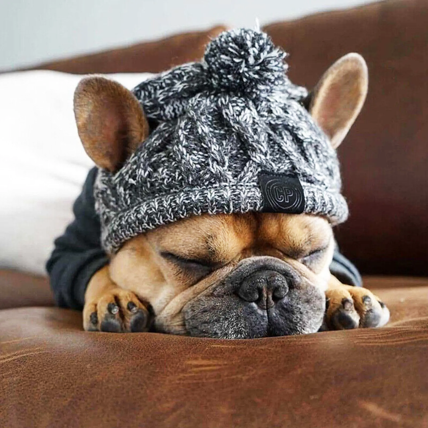 Cozy Companion Hat™